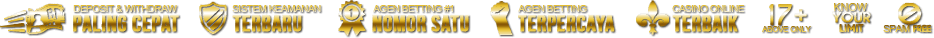 qq4d